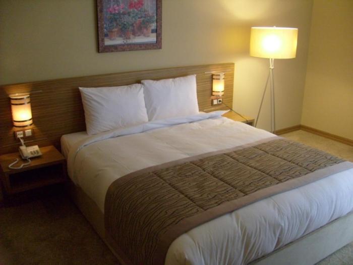 Hotel Almina Park Duzce Habitación foto